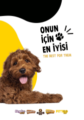 Fittoo Kuzulu Yetişkin Köpek Maması